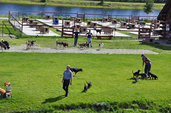 Dave Monson and the sled dogs