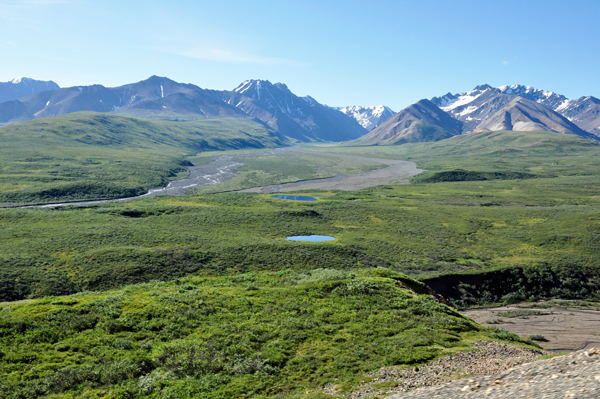 Denali National Park scenery