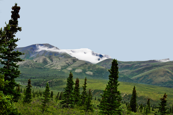 Denali mountain