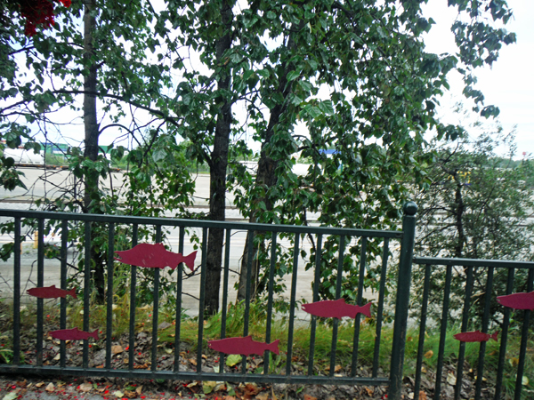 fish on a fence