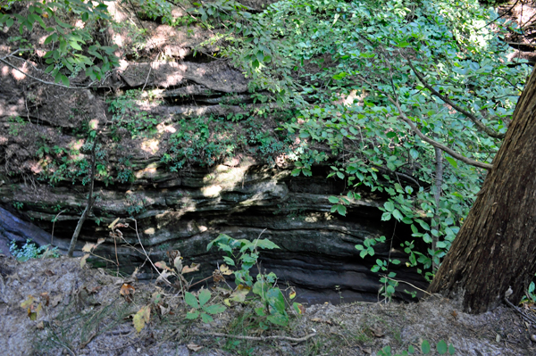 a canyon in French Canyon