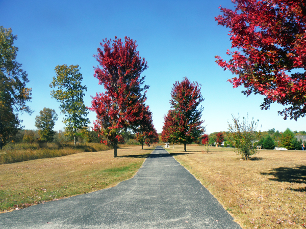 autumn colors