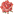 flower bullet