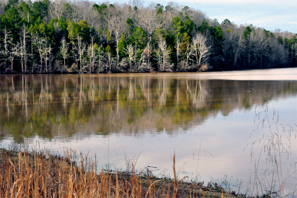 reflections on the lake