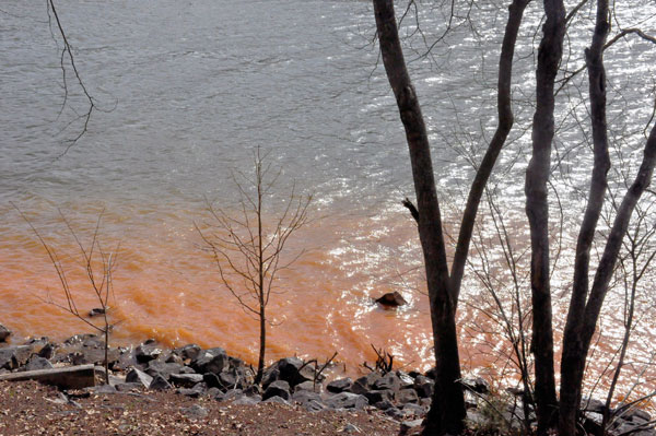 Lake Wylie