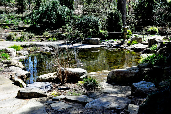 pond and waterfall