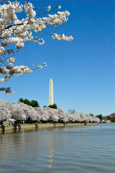 The National Mall, Washington Monument