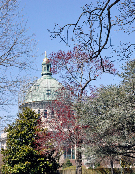 Capitol Building
