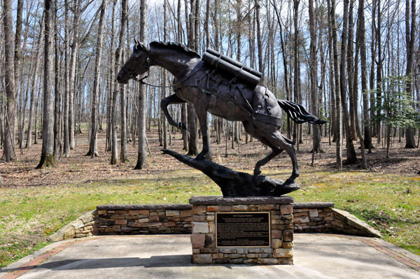 Staff Sergeant Recklss the horse