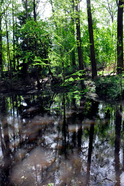 reflections