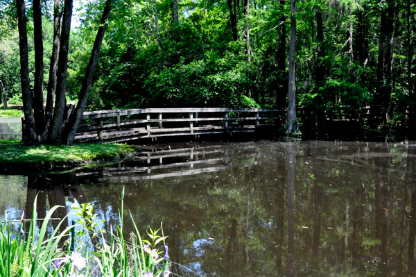 bridge