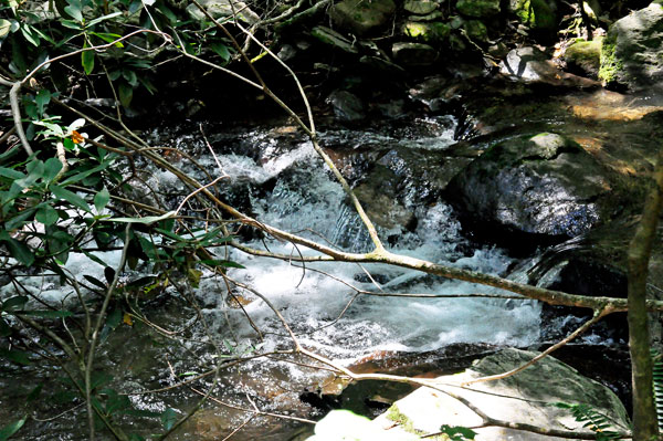 cascade and debri