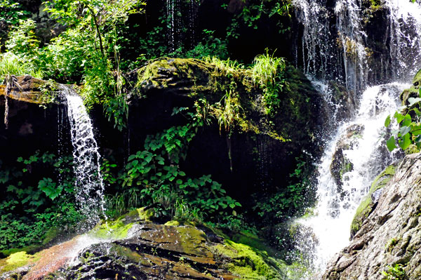 Catawba Falls