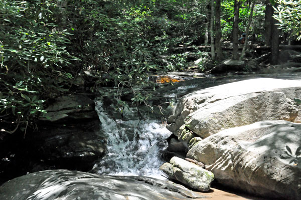 small cascade at Catawba Falls