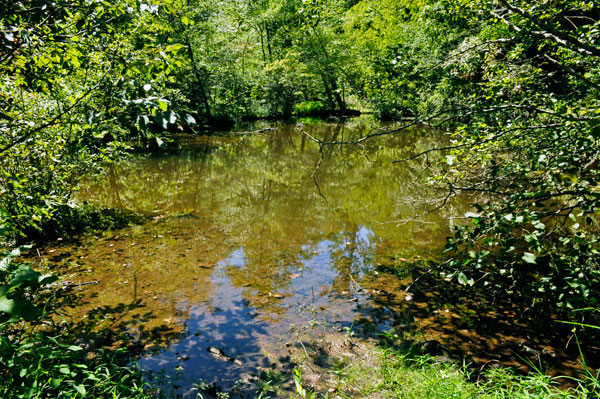 scenery on the Lake Placid Trail