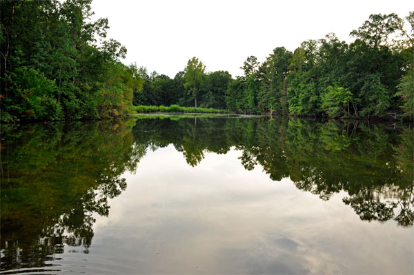 Stumpy Pond and reflections