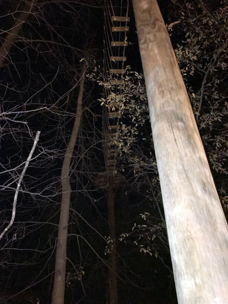 high rope walk