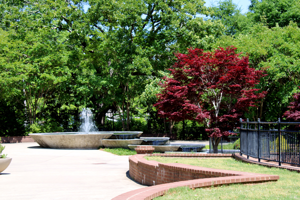 red tree and fountain 2022