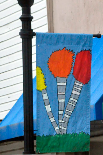 flag on a lightpole in Lancaster, SC