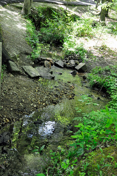 stream
