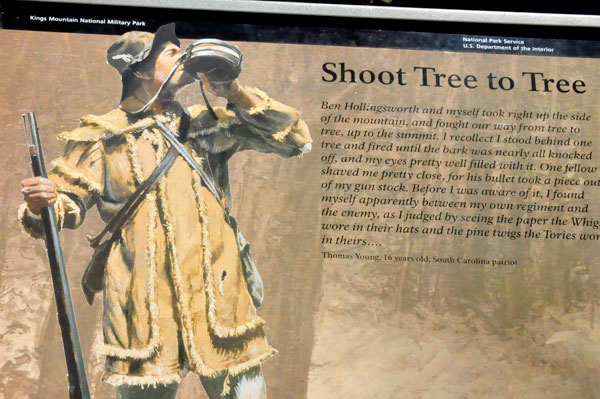shoot tree to tree