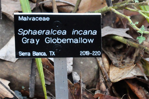 flower sign