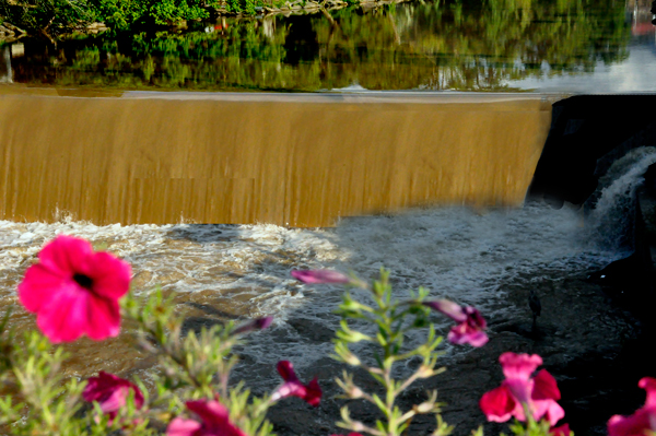 the chocolate dam and flowers