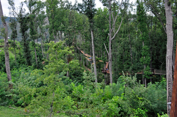 swinging bridge