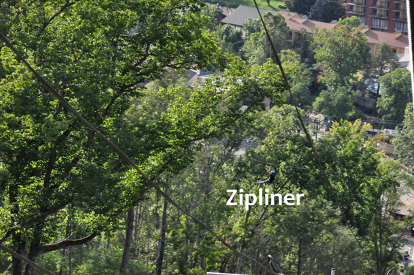 zipliner