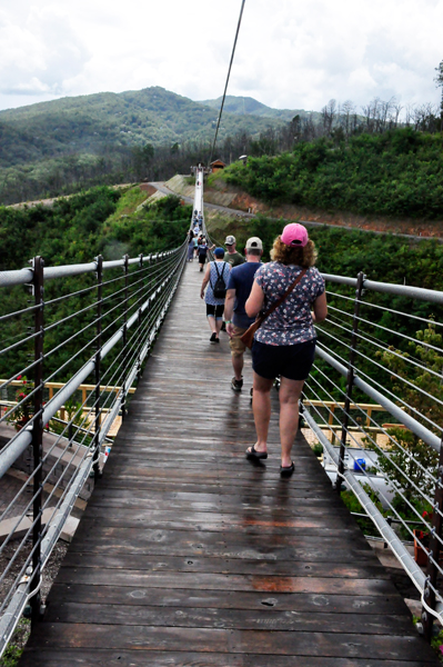 The Gatlinburg Skybridge