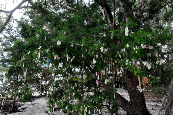 The Wishing tree