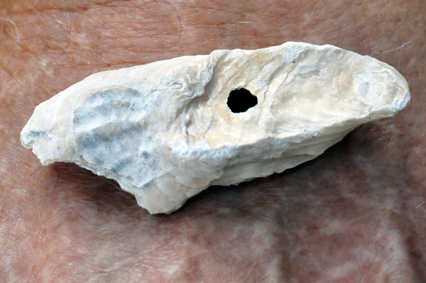 the perfect oyster shell for Brian Lee Duquette
