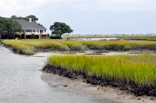marsh