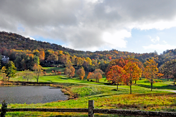 fall colors