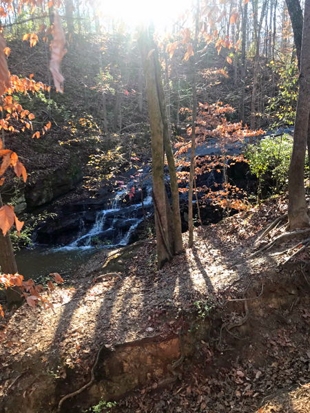 Anne Springs Close Greenway waterfall