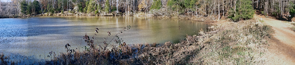 Anne Springs Close Greenway