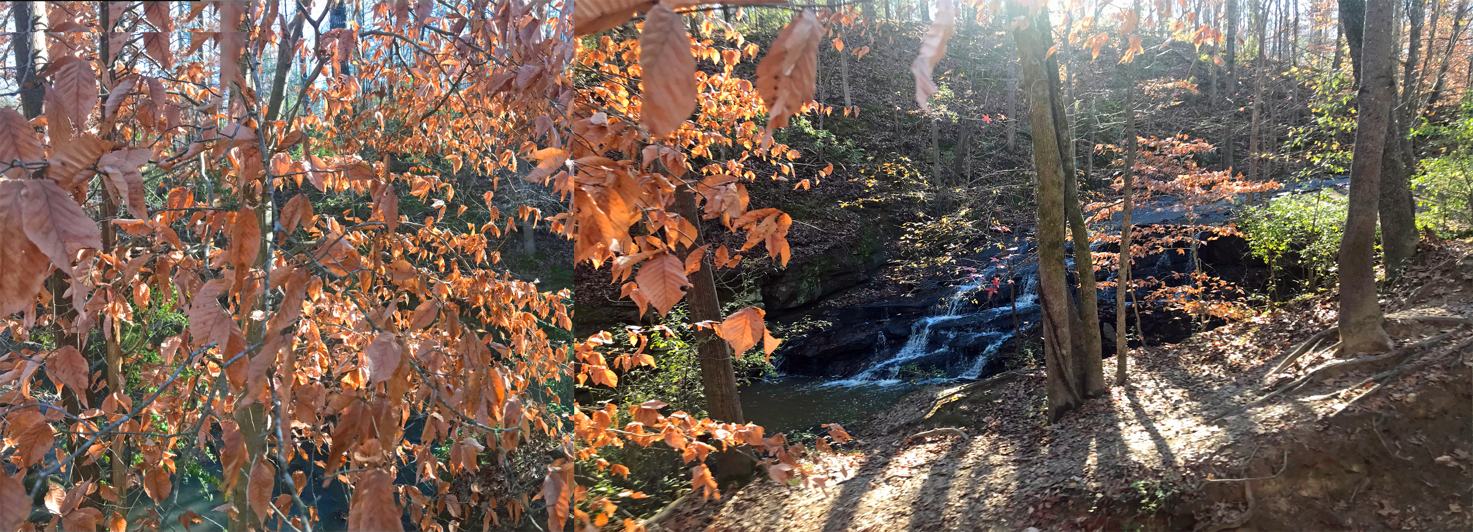 Anne Springs Close Greenway waterfall