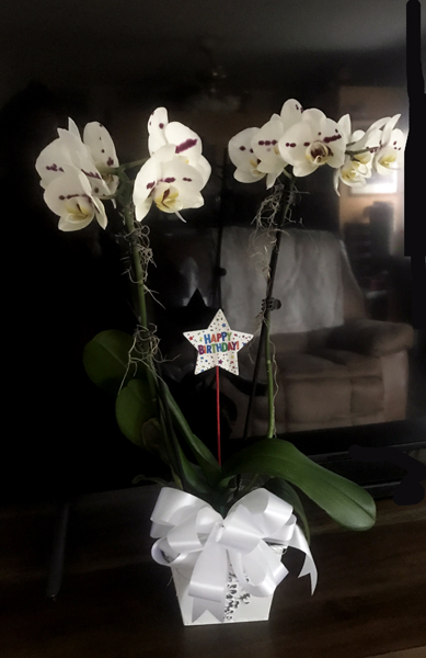 flowers from Renee and John