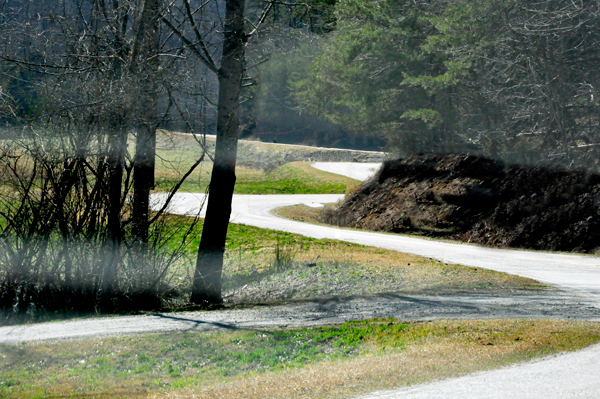 snake road