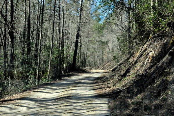 narrow dirt road