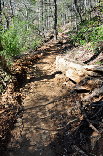 the trail