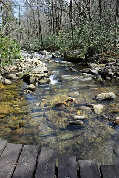 stream