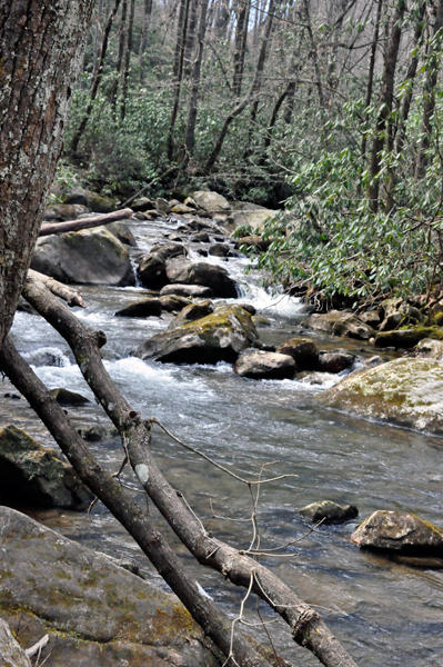 flowing water alongside the trail