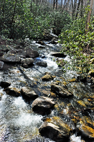 flowing river