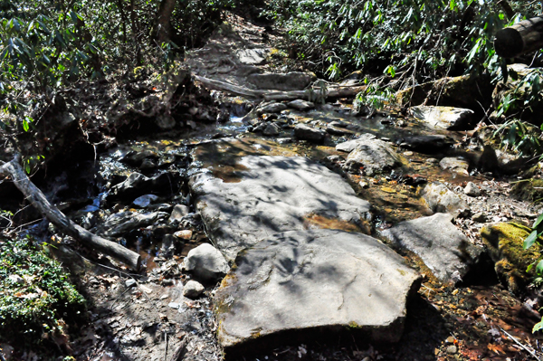 Crossing a small stream 