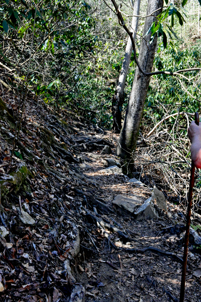 Jones Gap hiking trail