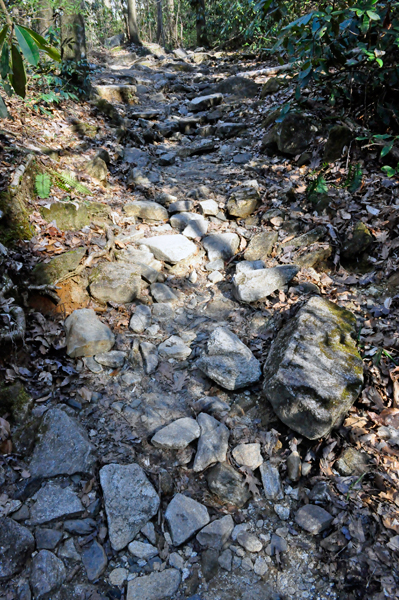 rocky path