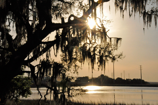 sunset at Gascoigne Bluff Park