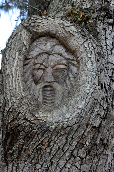 Tree Spirit #3