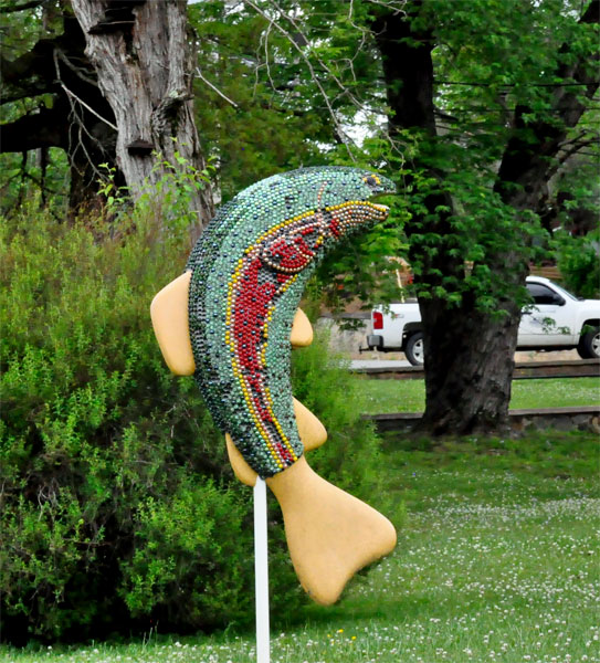 fish